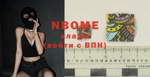 spice Бородино