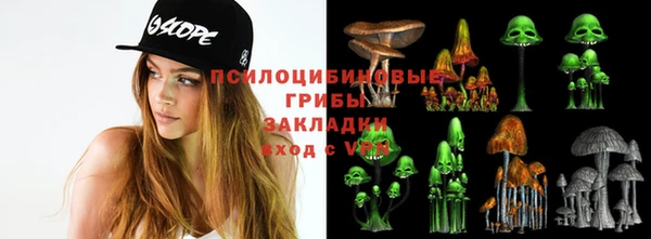 spice Бородино