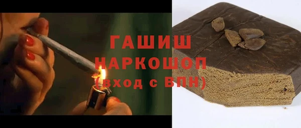 spice Бородино