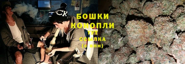 spice Бородино
