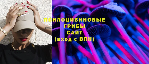 spice Бородино