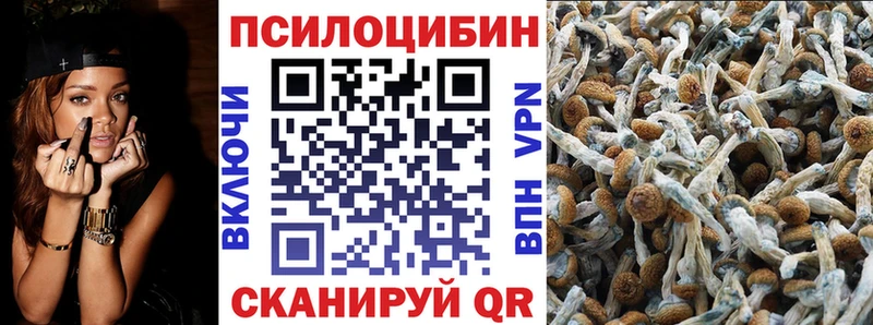 Псилоцибиновые грибы Magic Shrooms  Купить  Моздок 