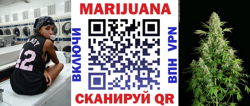 Марихуана сатива Моздок